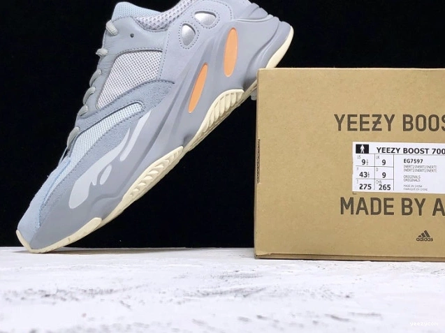 Yeezy Adidas Inertia
